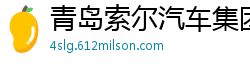 青岛索尔汽车集团有限公司